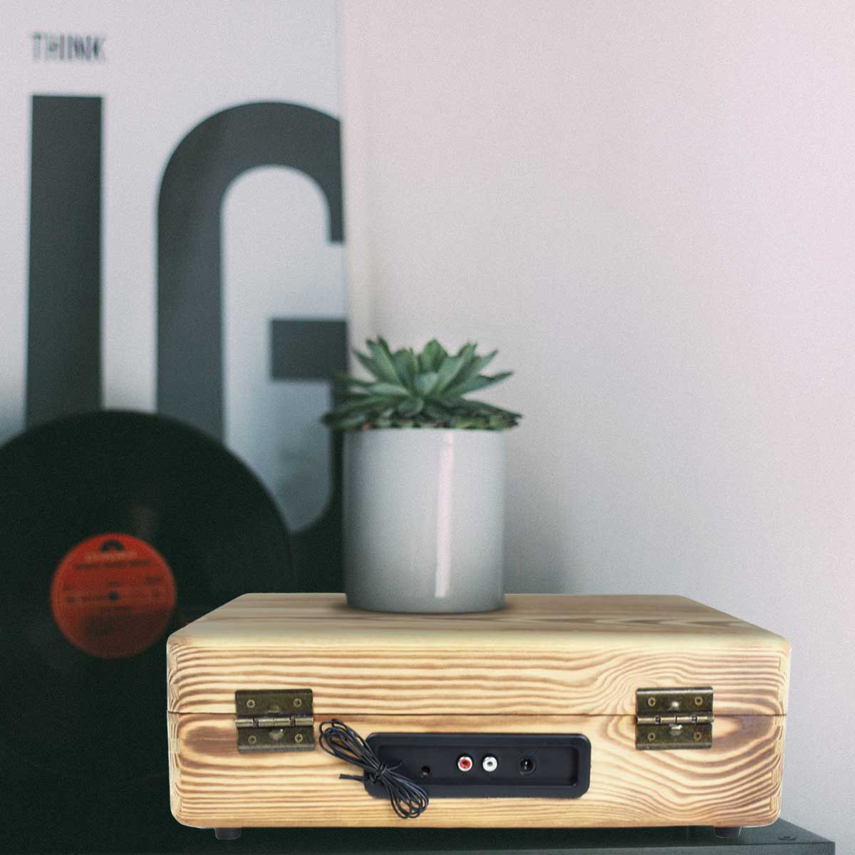 Ein hölzerner Plattenspieler mit Pflanze und Schallplatten. Der Hintergrund ist weiß.