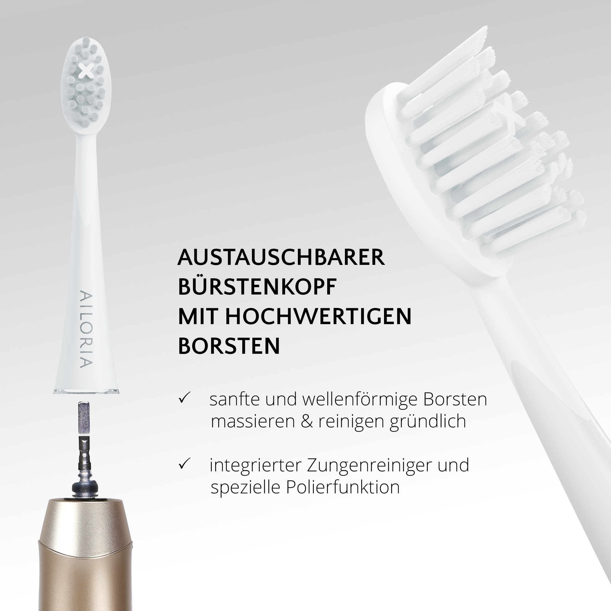 Ein weißer Zahnbürstenkopf und ein goldener Griff. Text: austauschbarer Bürstenkopf mit hochwertigen Borsten.