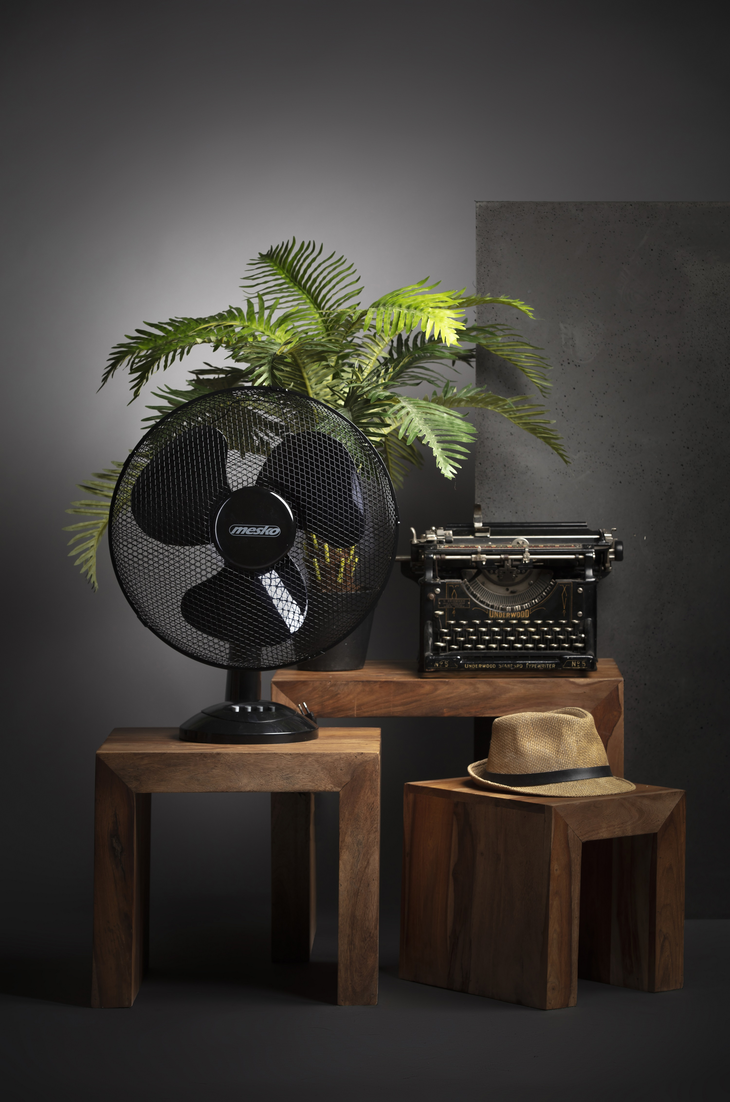 A fan, plant, typewriter, and hat on wooden stools, all in a dark setting.