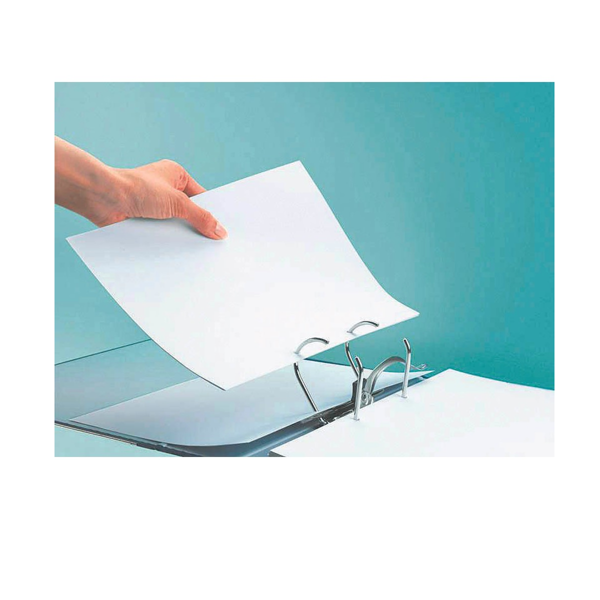 Hand, die ein weißes Papierblatt in einen Ordner einlegt. Blauer Hintergrund, silberne Binderinge sind sichtbar.
