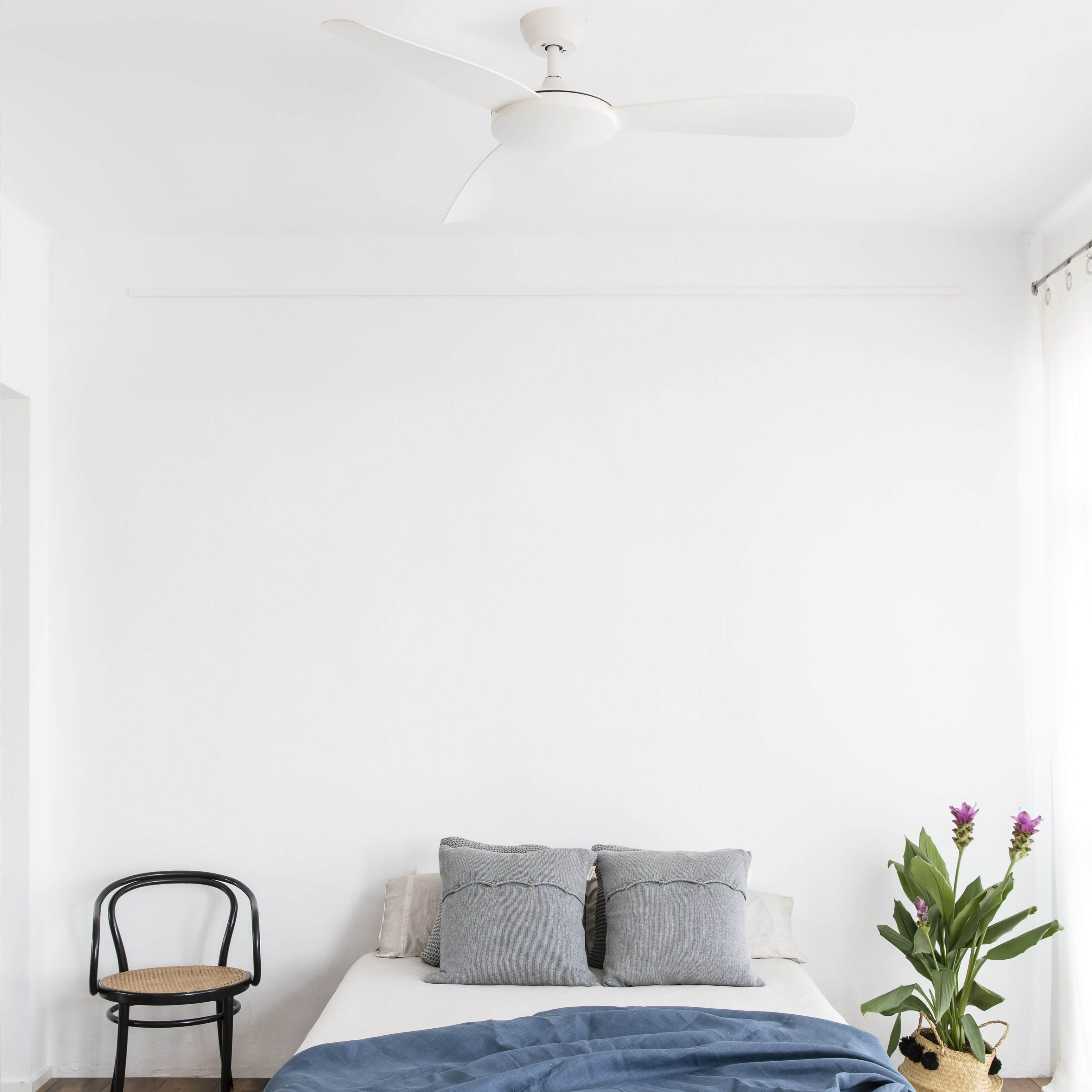 Ein Schlafzimmer mit Deckenventilator, Bett, Kissen und Pflanze. Das Zimmer hat weiße Wände und eine blaue Decke.