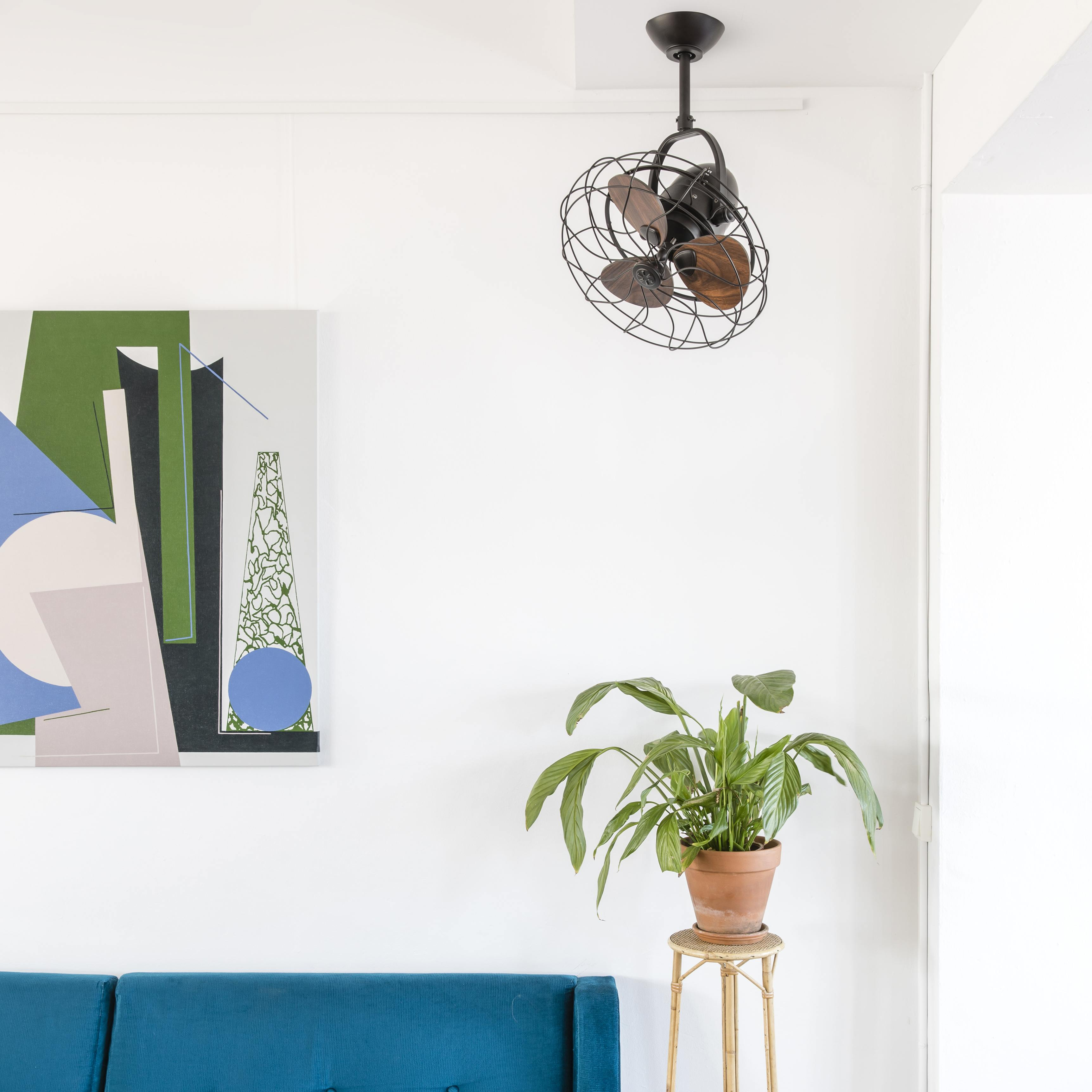 Muro bianco con arte, una pianta, un ventilatore a soffitto e un divano blu.