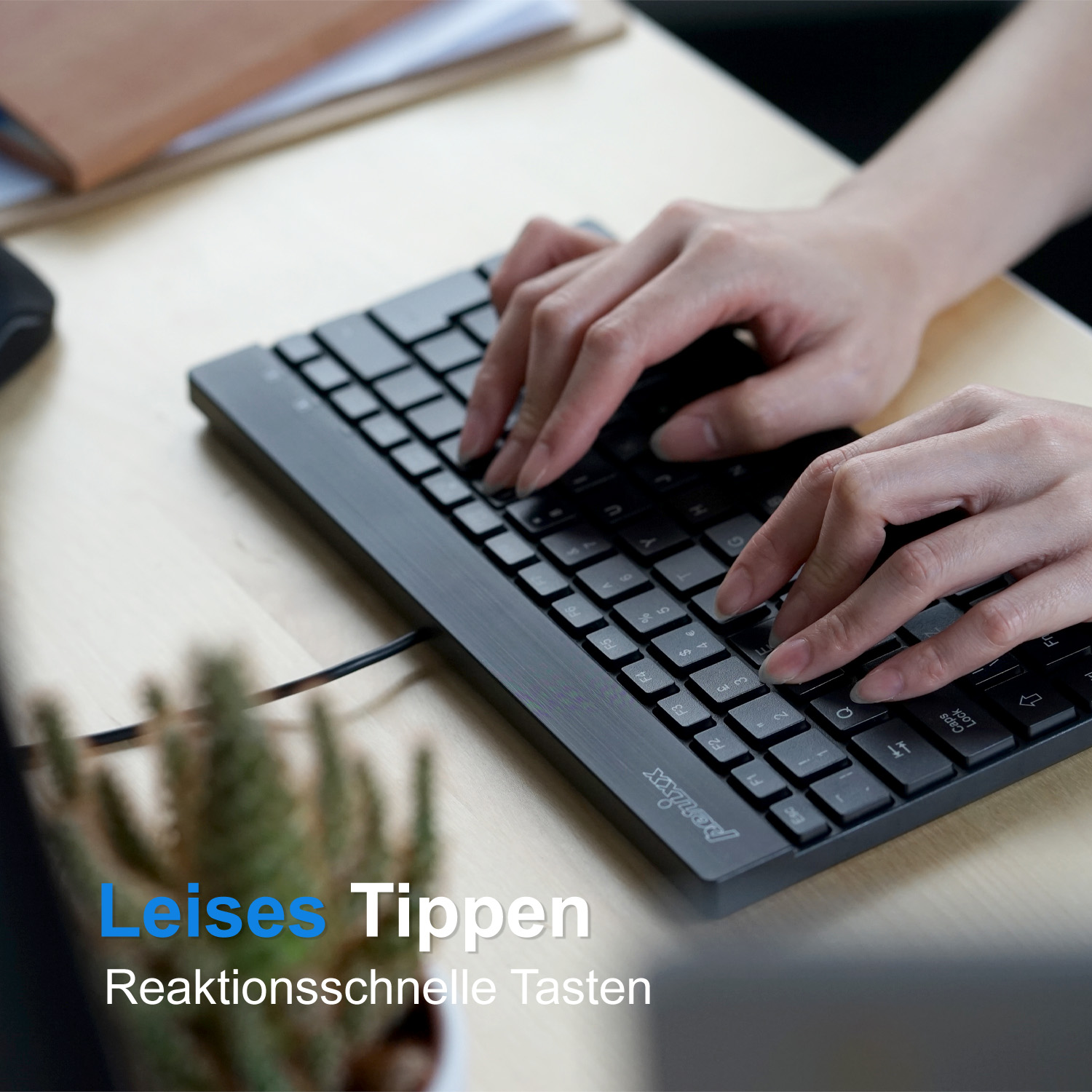 Hände tippen auf einer schwarzen Tastatur. Kleine grüne Pflanze in der Ecke.