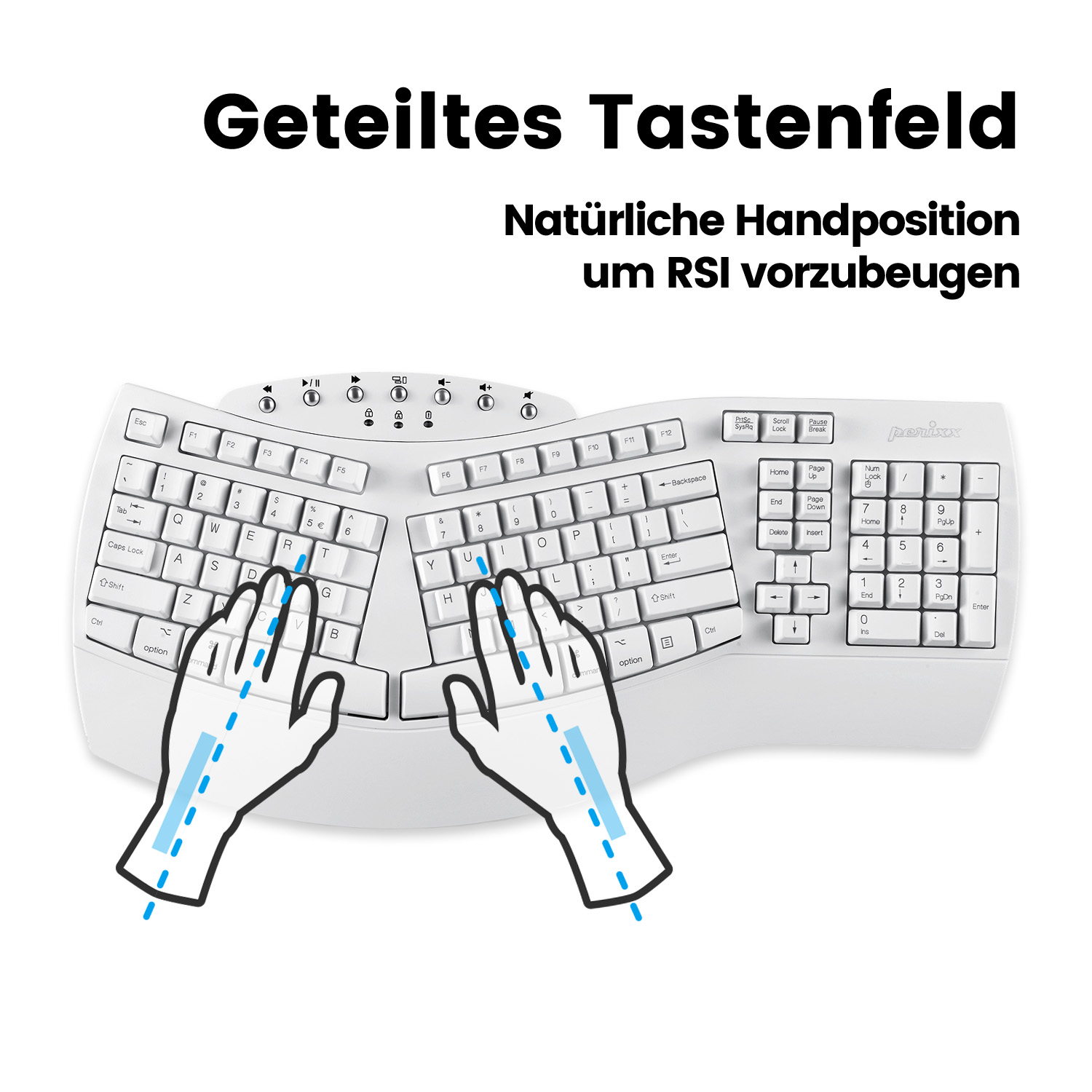 Eine geteilte Tastatur mit weißen Tasten und geschwungenem Design, für natürliche Handhaltung.