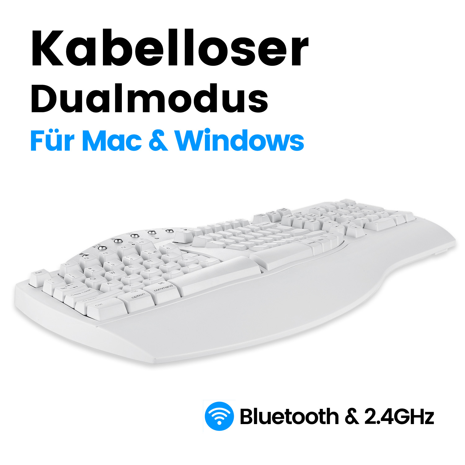 Weiße ergonomische Tastatur mit weißen Tasten, Bluetooth und 2,4 GHz, Text: Kabelloser Dualmodus.