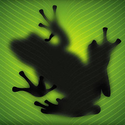 Schwarze Froschsilhouette auf einem grünen Blatt mit strukturiertem Muster.
