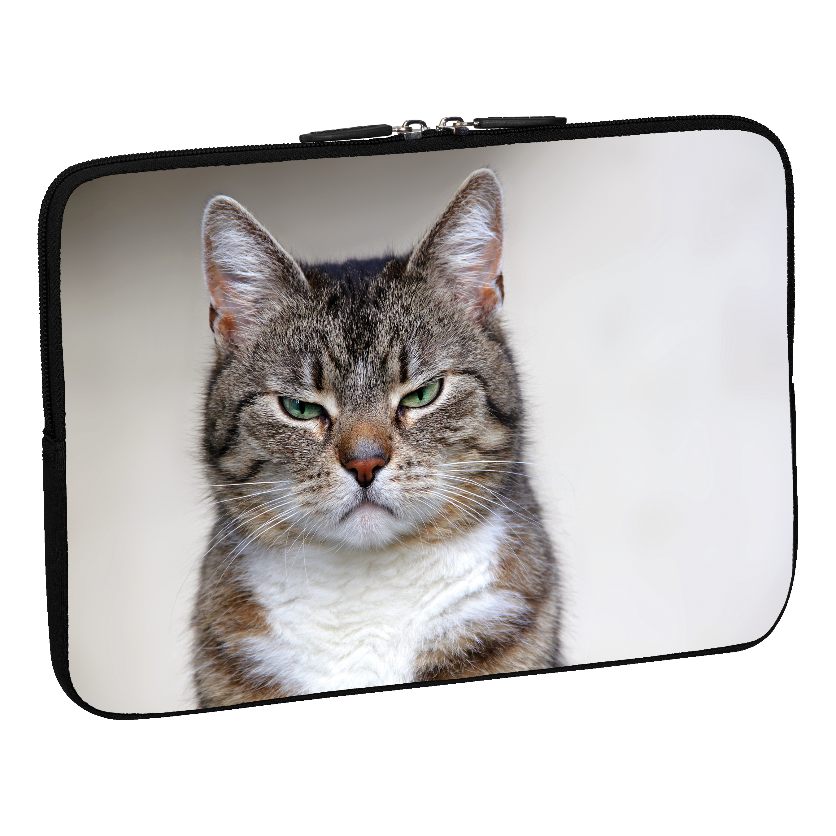 Laptoptasche mit einer Katze. Die Katze sieht wütend aus. Weißer Hintergrund.