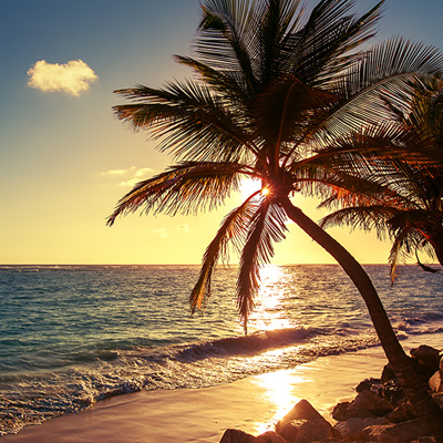 Tropischer Strand, Palme bei Sonnenuntergang. Warme Farben. Goldene Sonne.