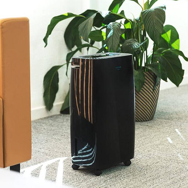 Czarny oczyszczacz powietrza z rośliną w tle.