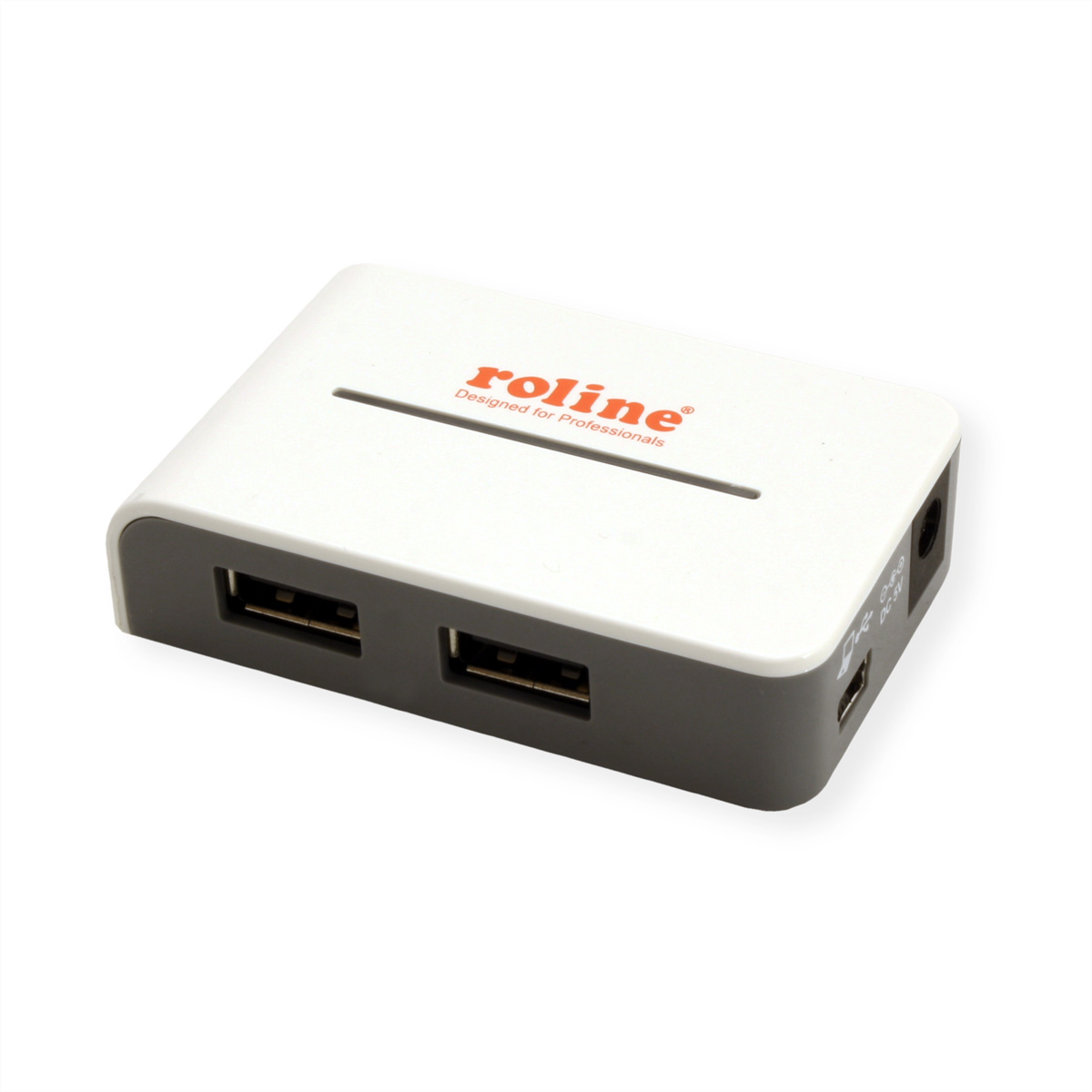 Ein weiß-grauer USB-Hub mit zwei USB-Anschlüssen, beschriftet mit 'roline'.