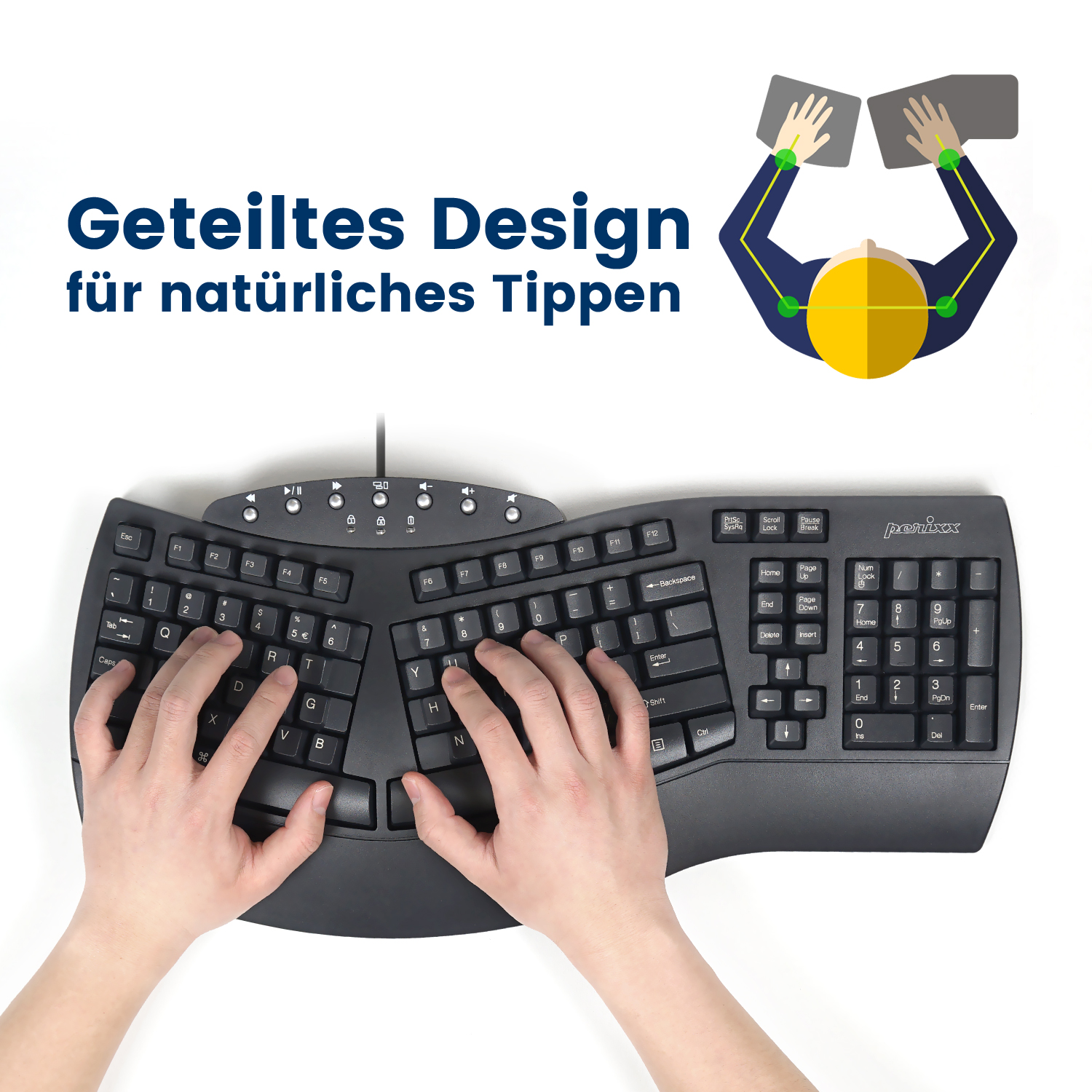 Hände tippen auf einer geteilten Tastatur. Text: Geteiltes Design für natürliches Tippen.
