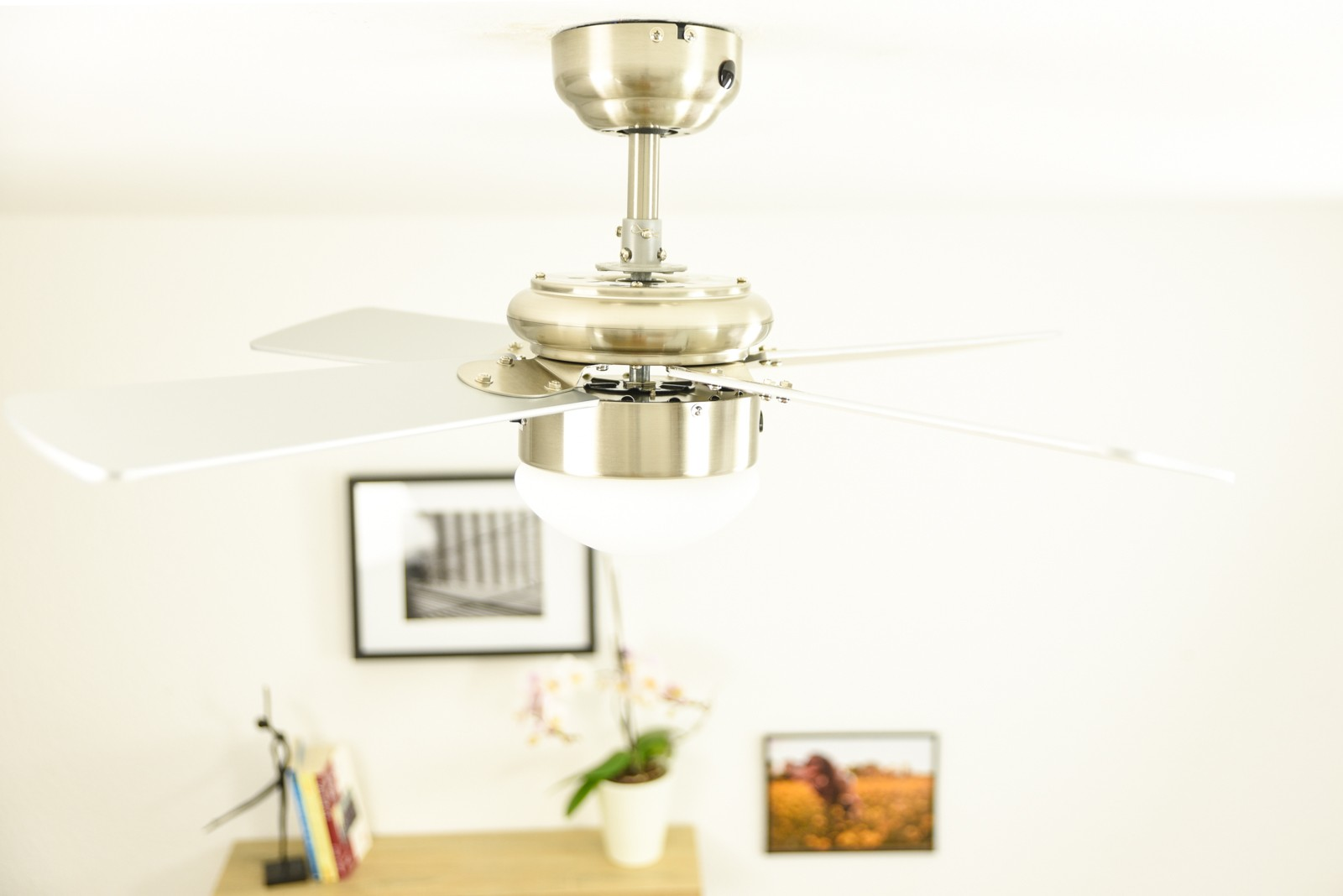 Ein Deckenventilator mit weißen Flügeln, im Hintergrund eine weiße Wand und ein Bild.