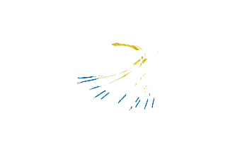 COMMUNIK Kabel Pigtails / SC Faserpigtails, Glasfaserkabel, 2 m