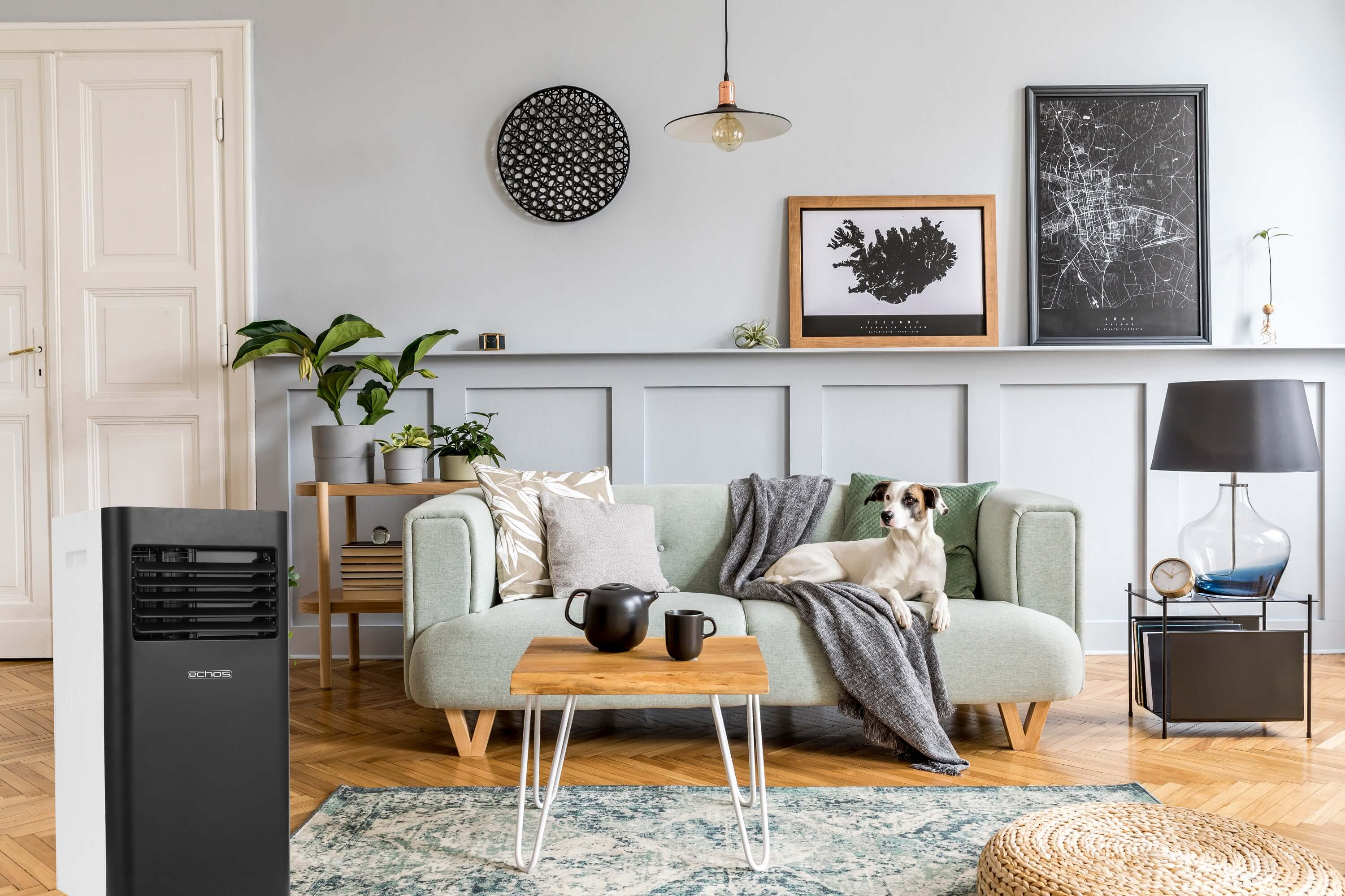 Wohnzimmer mit Hund auf Sofa, Tisch und schwarz-weißem Luftkühler.