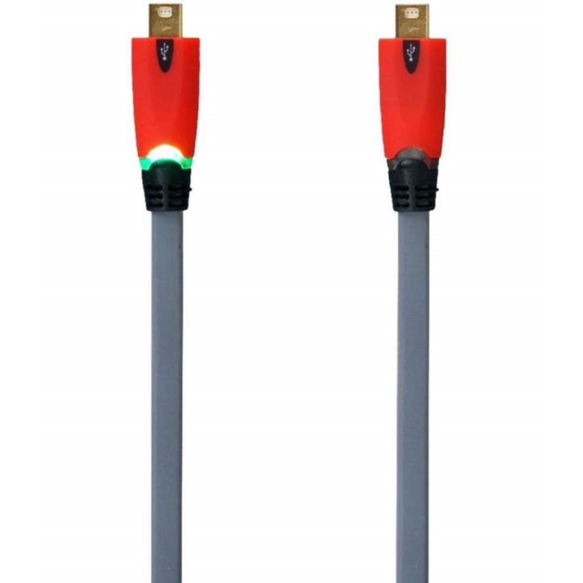 Zwei rote und graue USB-Kabel mit Steckern auf weißem Hintergrund.