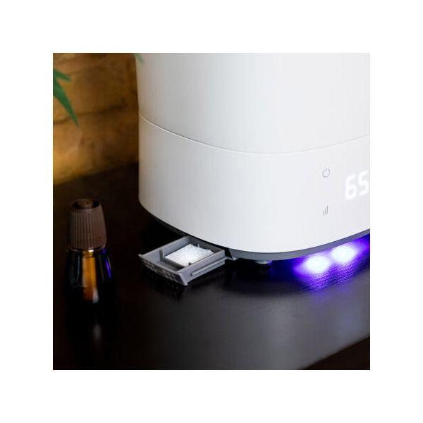 Umidificatore bianco con bottiglia di olio e pianta, su un tavolo nero.