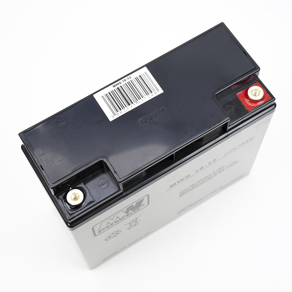 Eine schwarze Batterie mit roten und goldenen Anschlüssen. Auf der Oberseite befindet sich ein Etikett.
