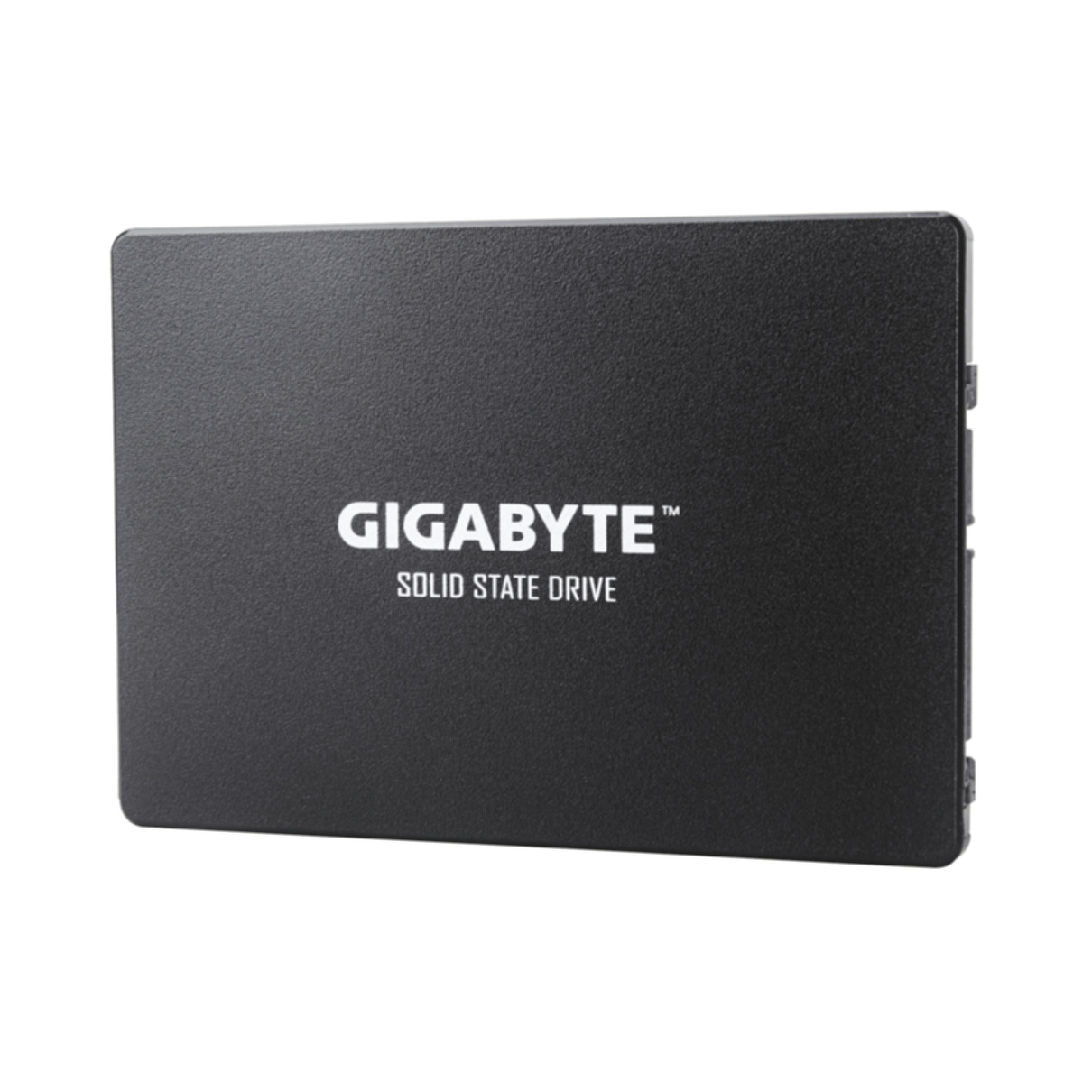 Disco duro interno - GPSS1S240-00-G GIGABYTE, Negro