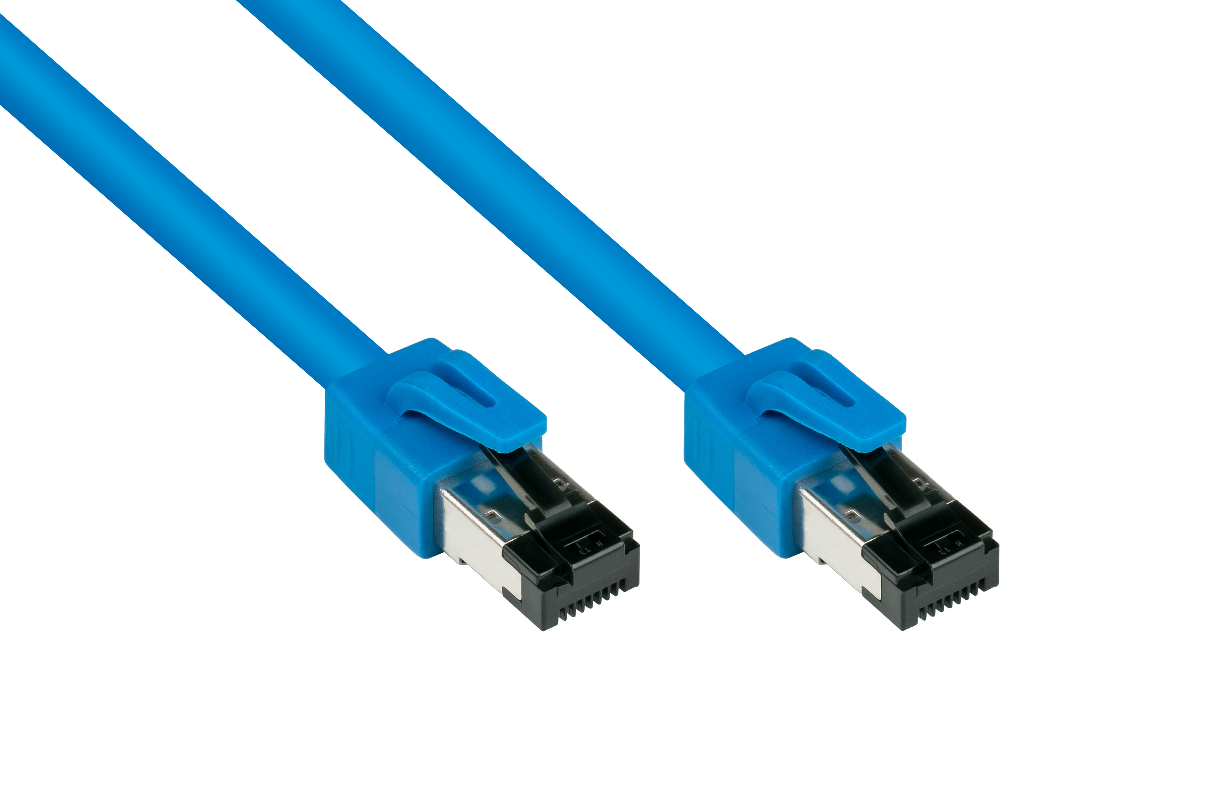 Due cavi di rete blu con connettori RJ45.
