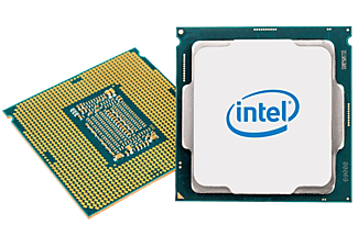 INTEL Pentium G6605 Box Prozessor mit Boxed-Kühler