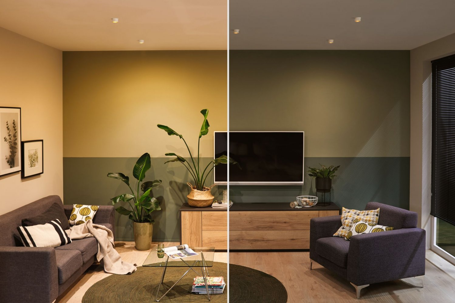 Wohnzimmer mit Sofa, Pflanzen, TV und Schrank. Farbschema mit grünen und beigen Wänden.