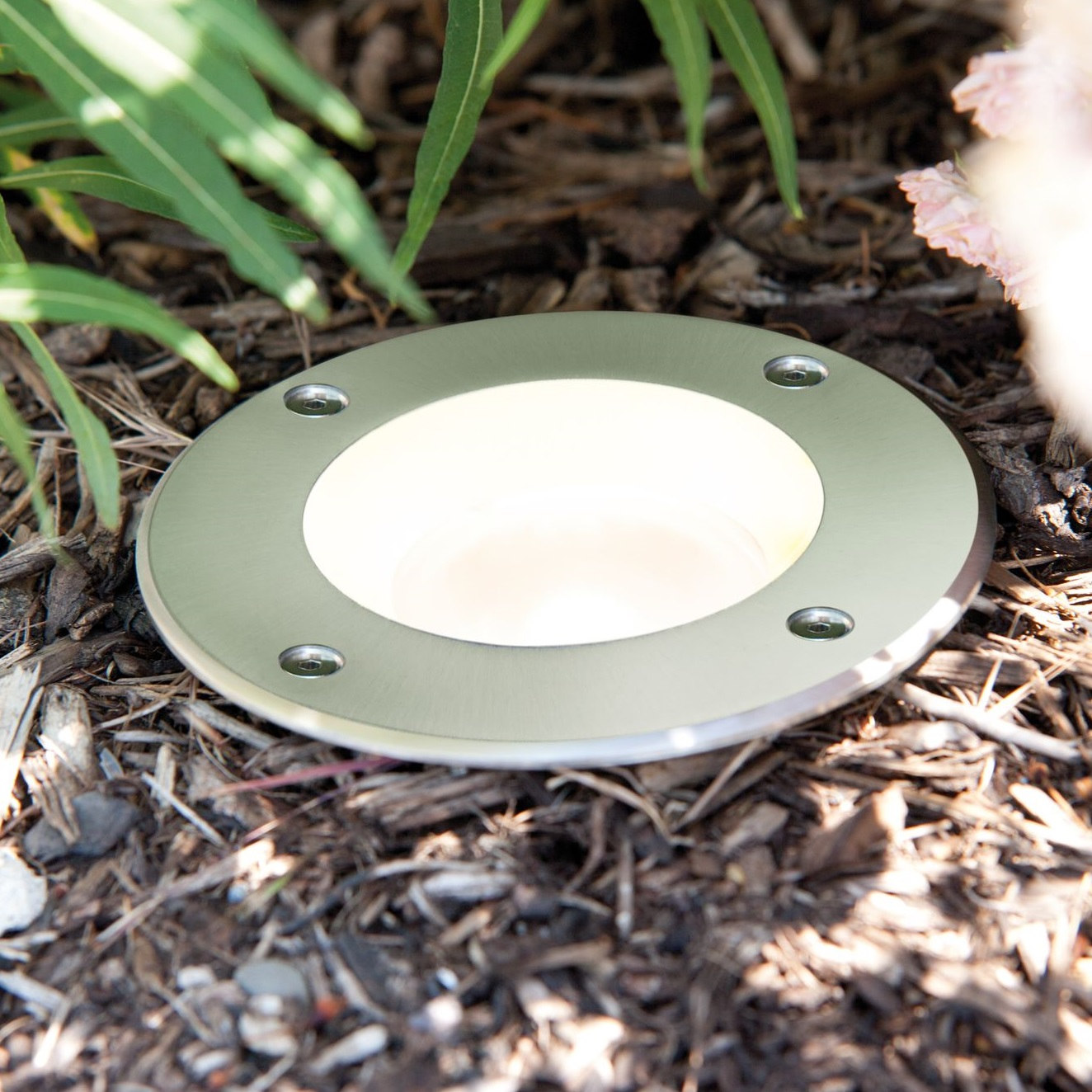 Okrągła oprawa oświetleniowa zewnętrzna w ściółce, otoczona roślinami.