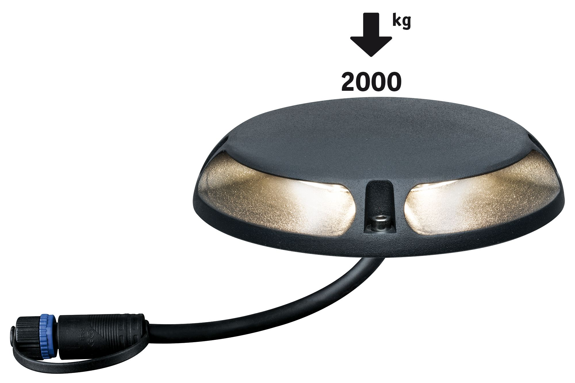 Ovale, dunkelgraue Außenleuchte. Schwarzes Kabel und Stecker. 2000 kg Gewichtsbegrenzung.