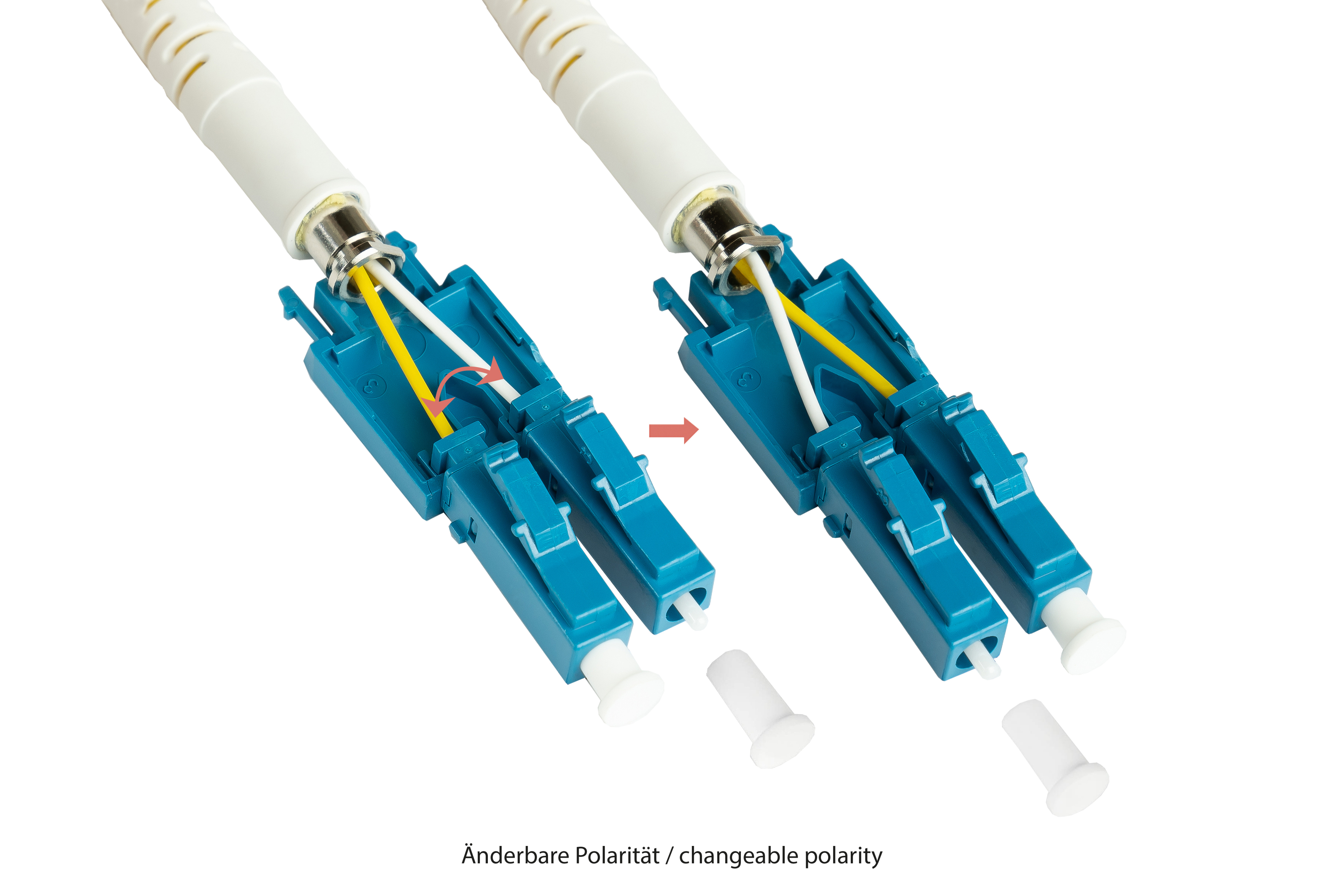 Zwei Glasfaserstecker mit umkehrbarer Polarität, blau und weiß.