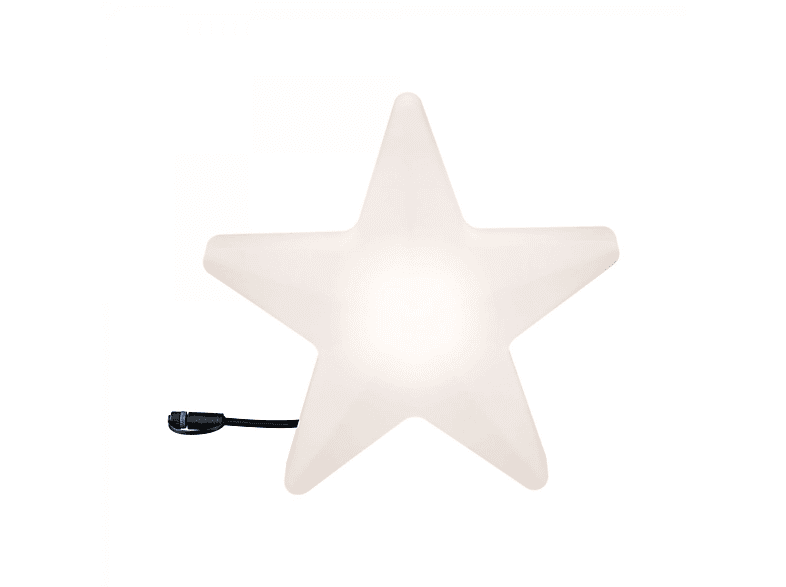 PAULMANN LICHT Plug & Shine Lichtobjekt Star mit Erdspieß Lichtobjekt Universalweiß