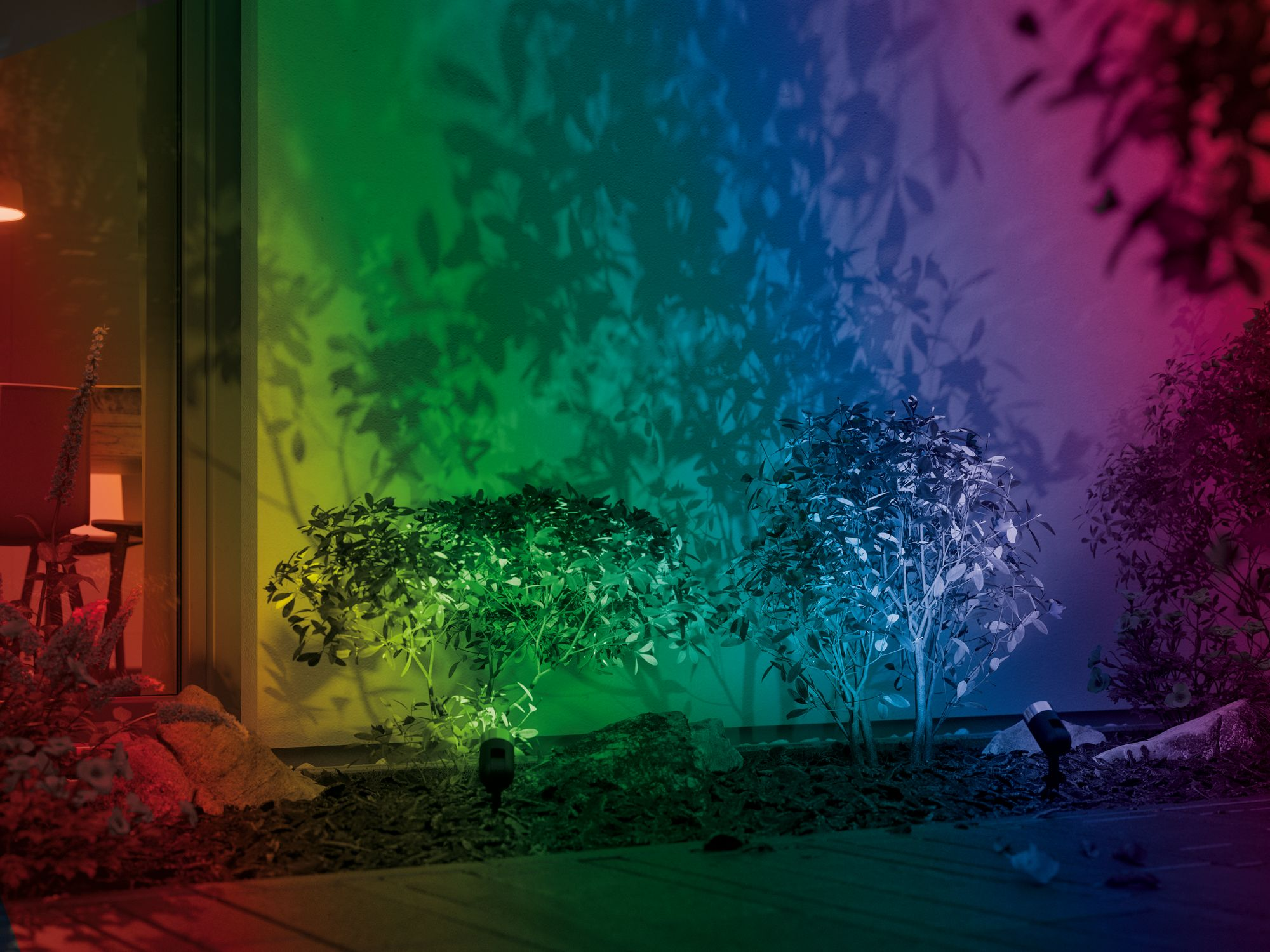 Kolorowe oświetlenie na roślinach i ścianie. Obecne są zielone, niebieskie i czerwone światła.