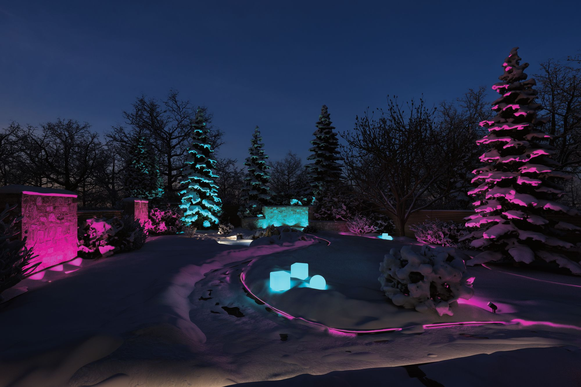 Zaśnieżony krajobraz z kolorowymi światłami. Drzewa i rośliny oświetlone na różowo i niebiesko.