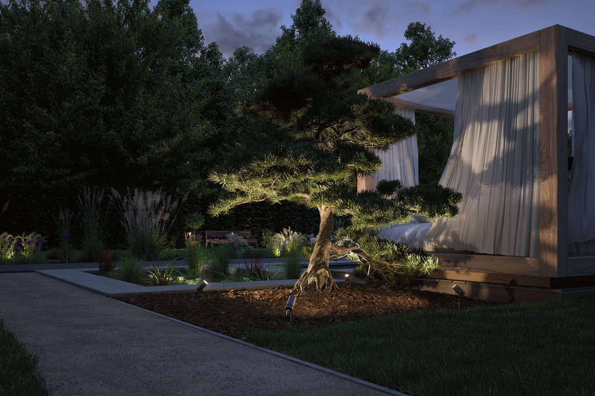 Drzewko bonsai w ogrodzie w nocy. Światła oświetlają drzewo i ścieżkę.