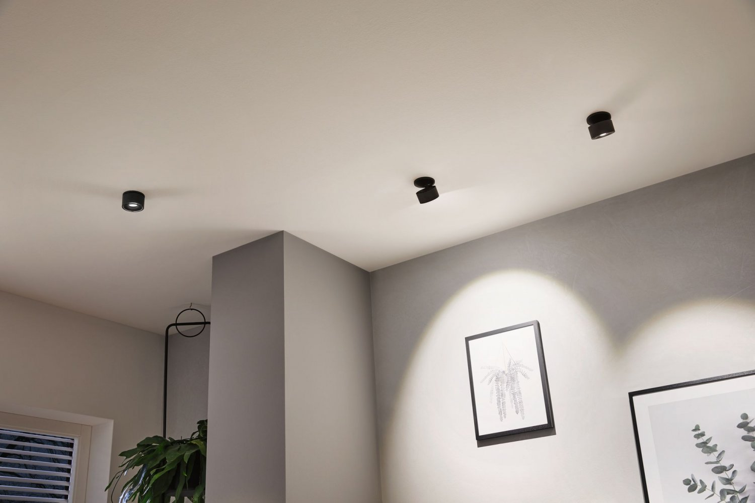 Trois spots de plafond noirs. La scène comprend un mur gris, un cadre et des plantes.
