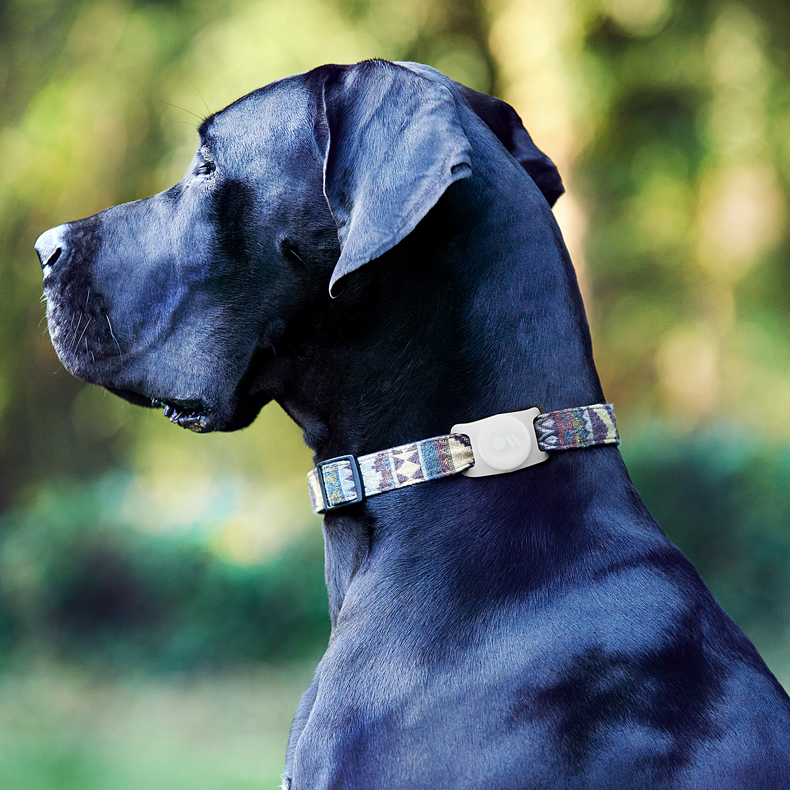 AirTags Leuchtendes CASE-MATE Halterung Hundehalsband für