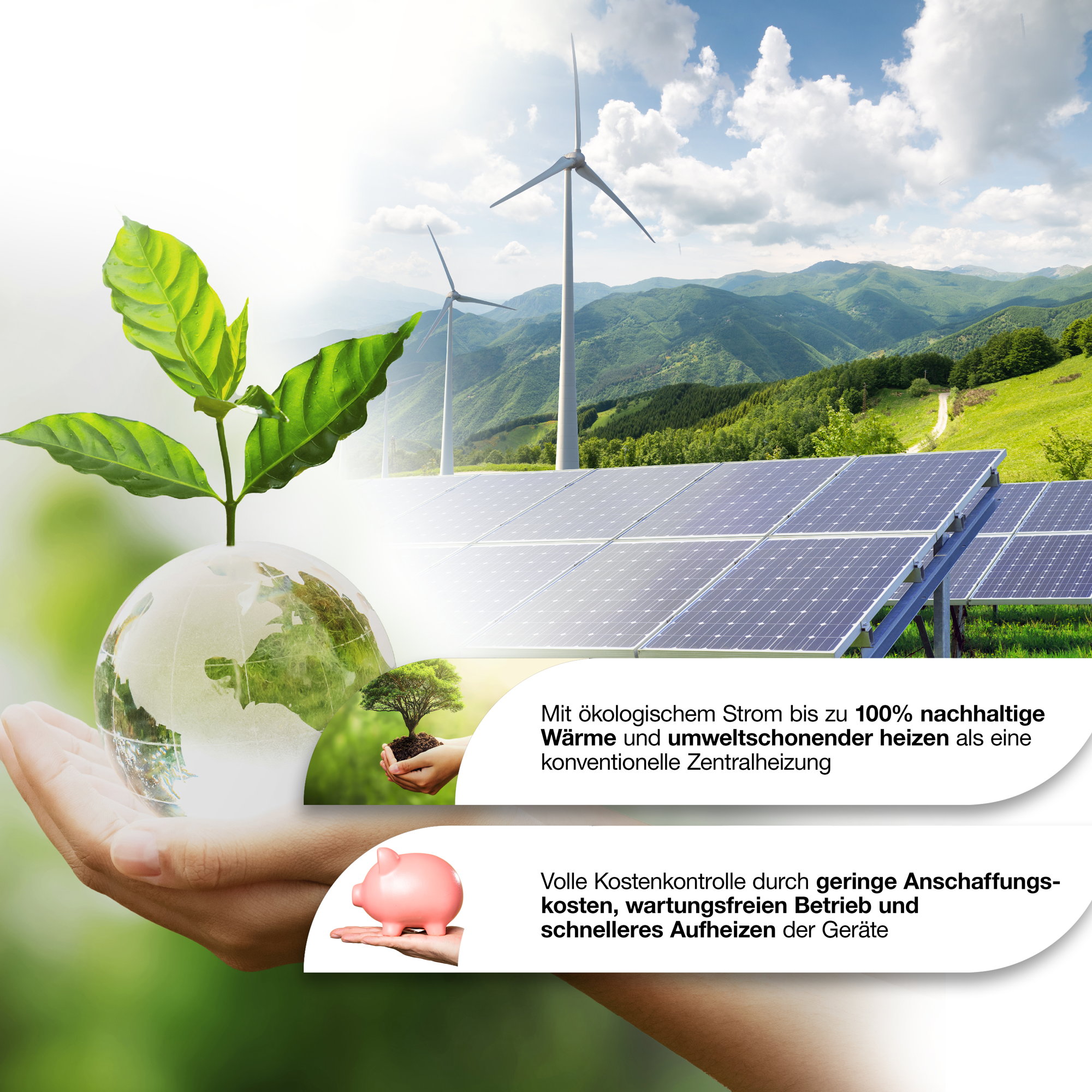 Hände halten eine Pflanze und ein Sparschwein vor Landschaft mit Solar.