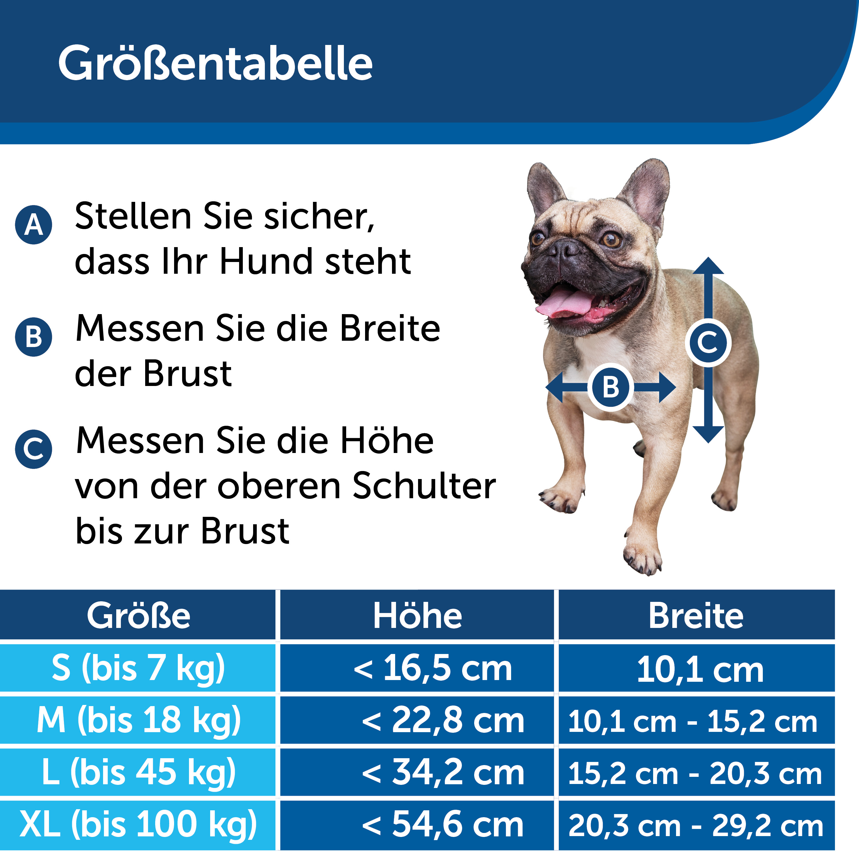 Hundegrößentabelle mit einer Illustration eines französischen Bulldoggen.