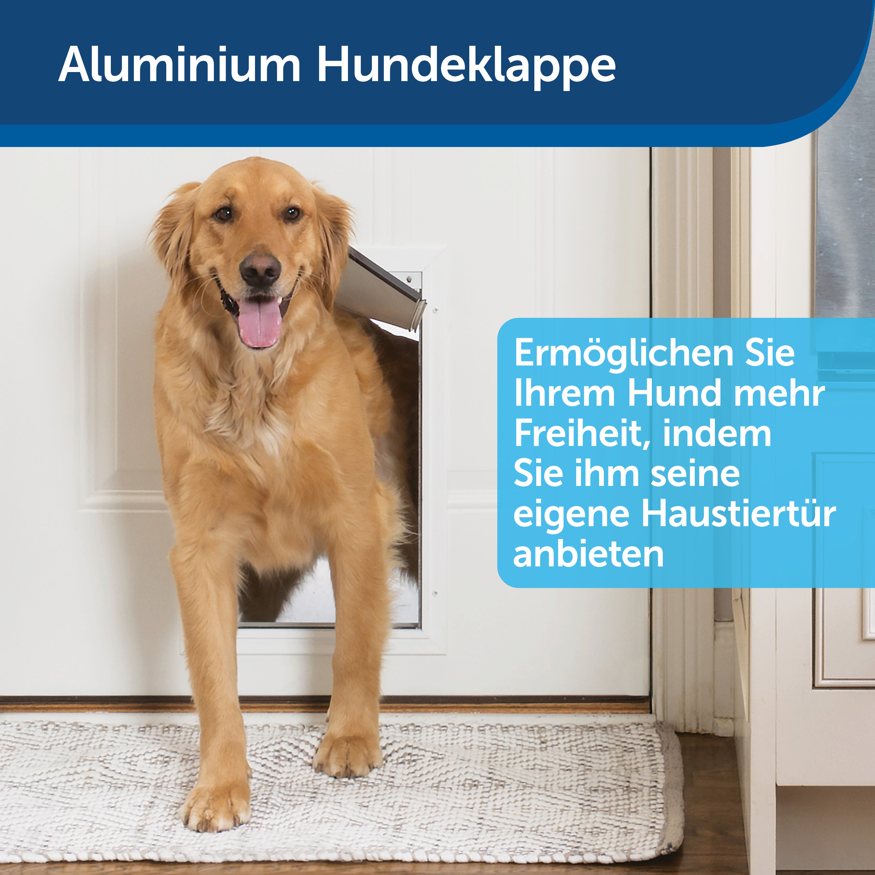 Ein Golden Retriever schaut aus einer Hundetür. Text: Aluminium-Hundetür.