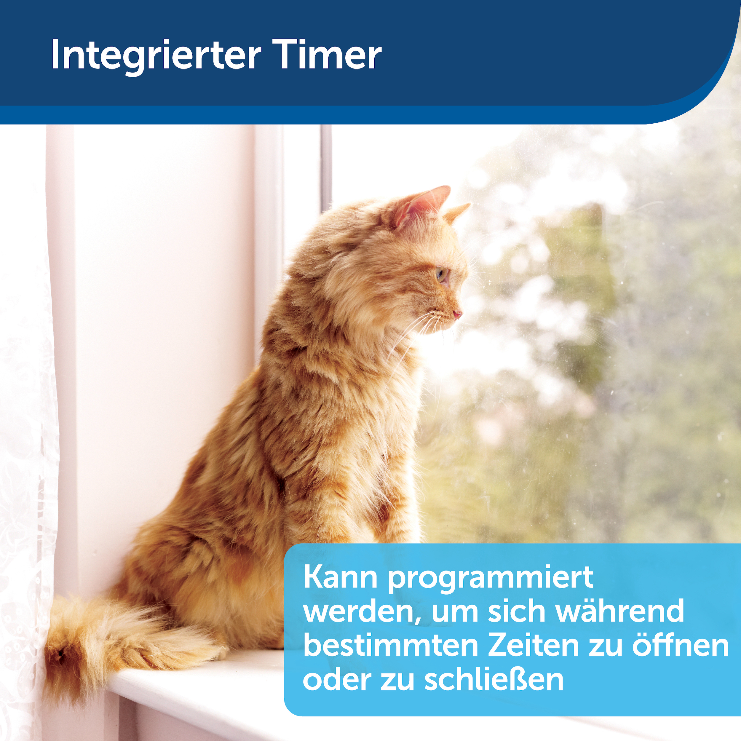 Eine orange Katze sitzt am Fenster. Text: „Kann so programmiert werden, dass sie sich zu bestimmten Zeiten öffnet oder schließt“.