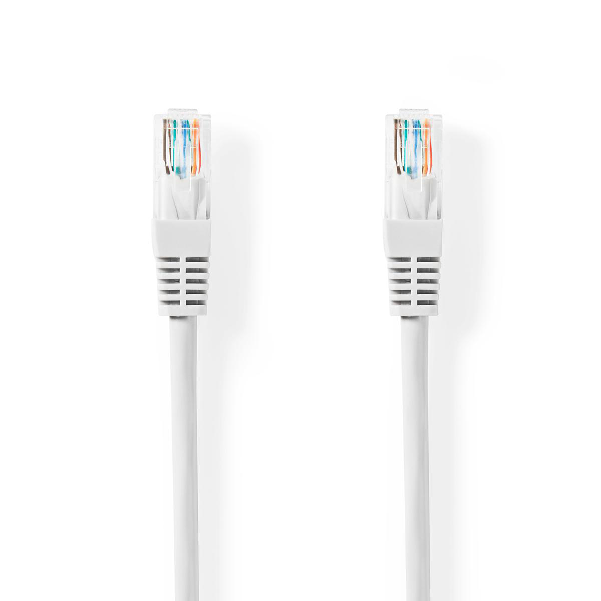 Dos cables Ethernet blancos. Fondo blanco.