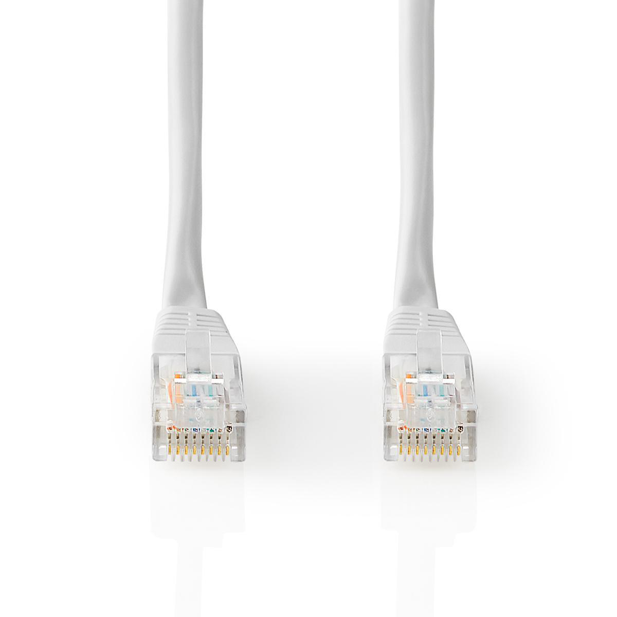 Dos cables ethernet blancos con conectores transparentes sobre fondo blanco.