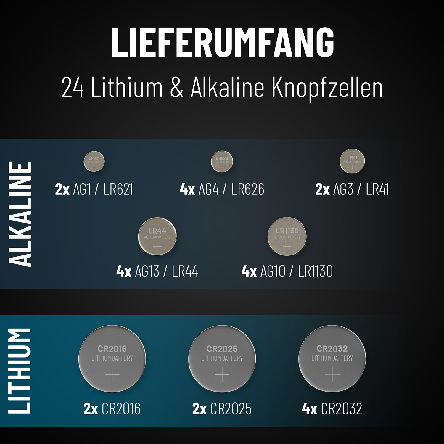 Bild zeigt Batterien: Alkaline- und Lithium-Knopfzellen, mit Größe und Anzahl.