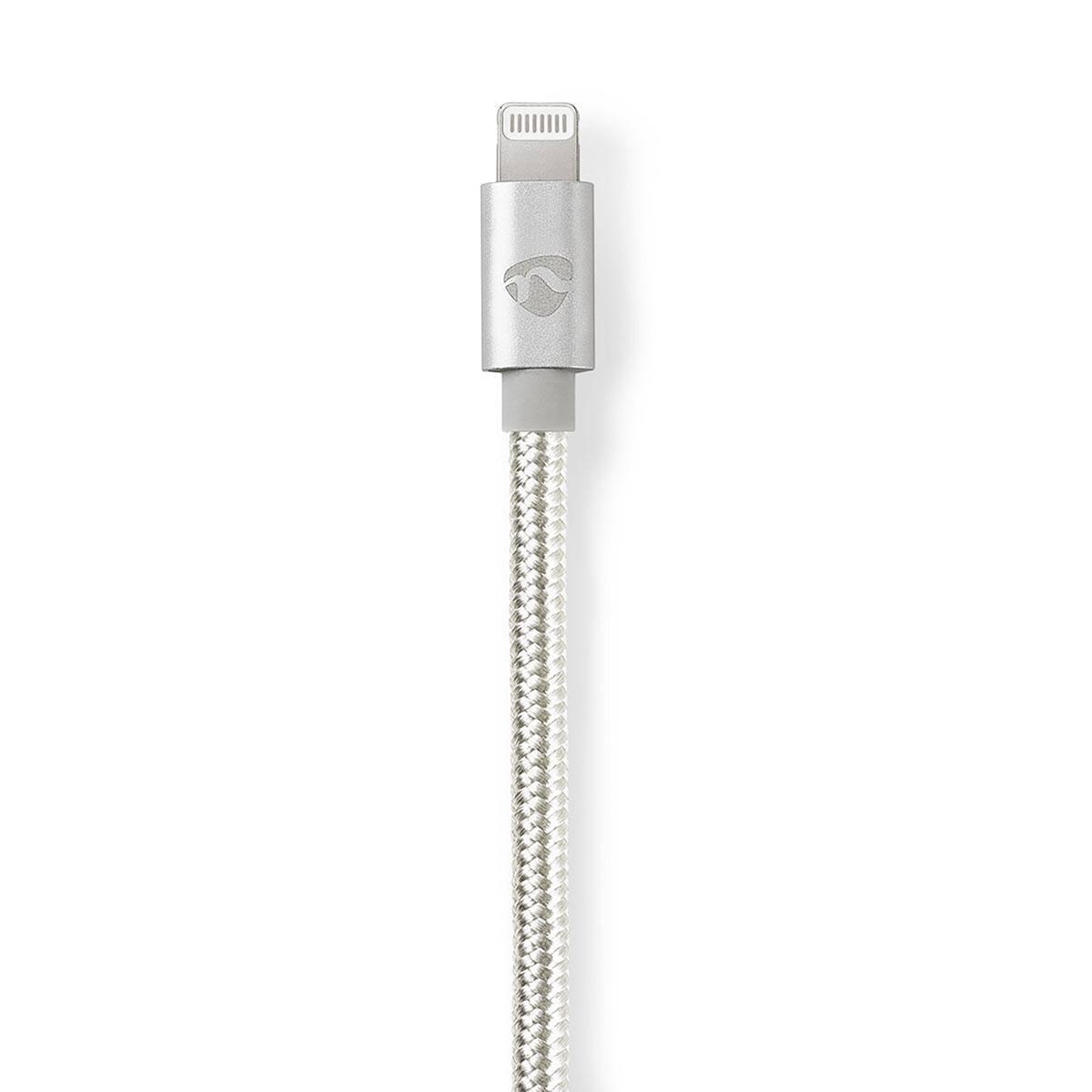 Câble Lightning argenté tressé avec connecteur argenté, fond blanc.