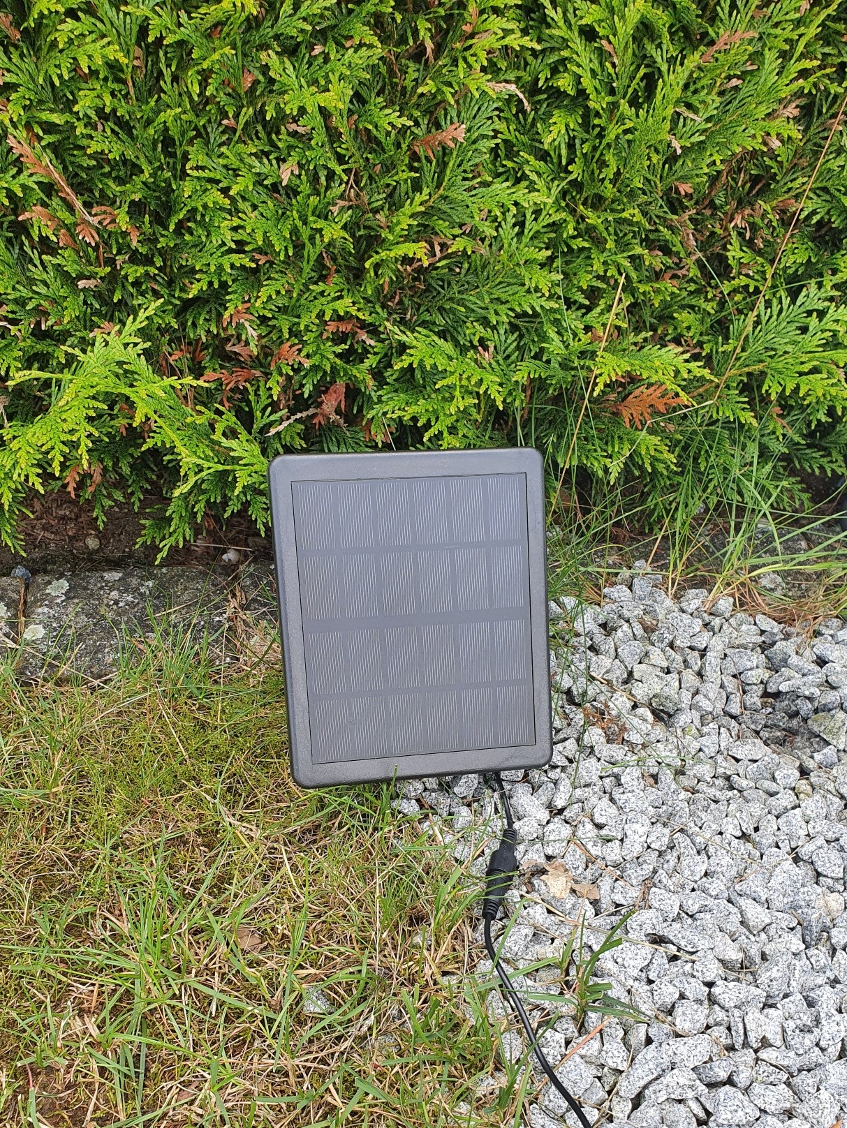 Ein Solarpanel auf einer grasbewachsenen Fläche, mit Kies und Büschen im Hintergrund.