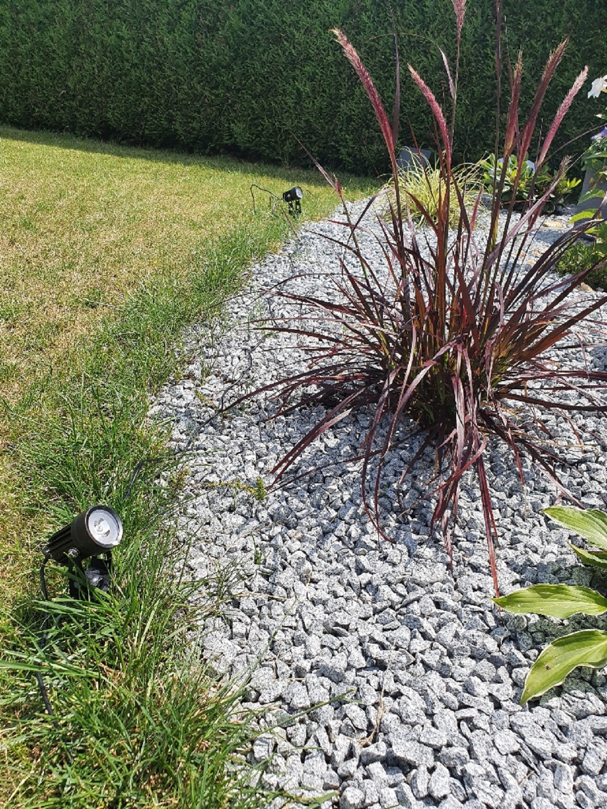 Ein Garten mit Steinweg, Lichtern und hohem Gras. Grüner Hintergrund.