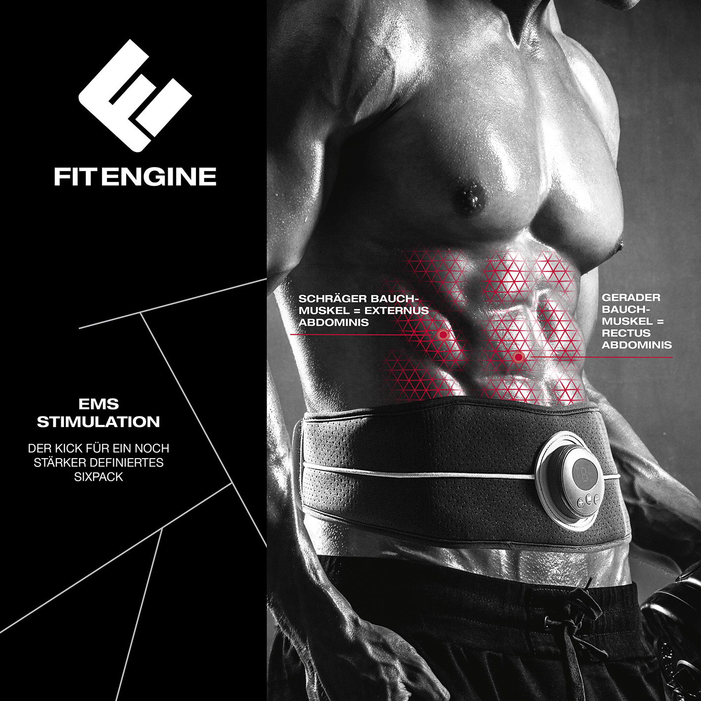 Männlicher Torso mit EMS-Stimulationsgürtel, Muskelbereiche und FitEngine-Logo.