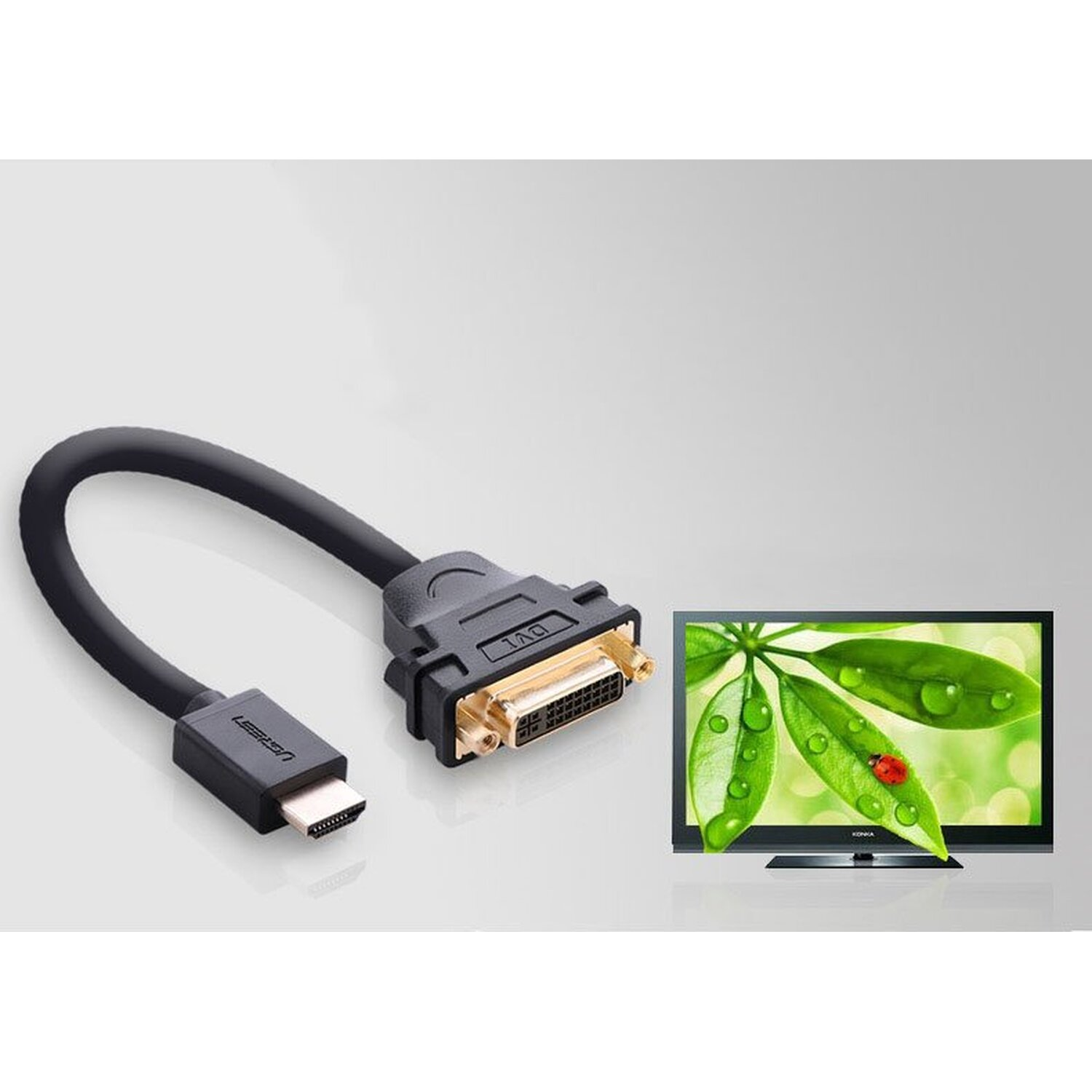 HDMI-zu-DVI-Kabel an ein Display angeschlossen, das Blätter mit einem Marienkäfer zeigt. Heller Hintergrund.