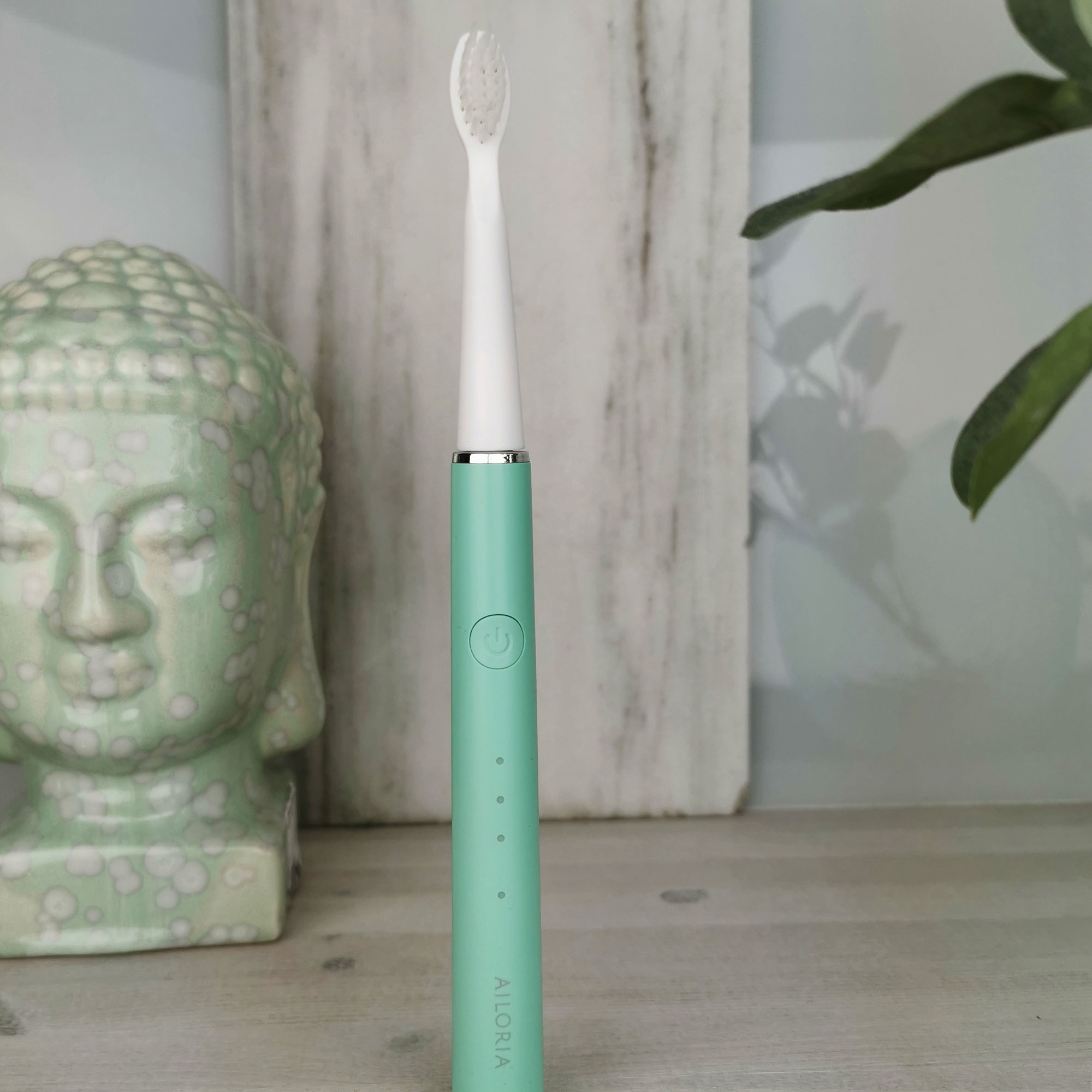 Un cepillo de dientes eléctrico sobre una superficie de madera. Una cabeza de Buda y planta detrás.