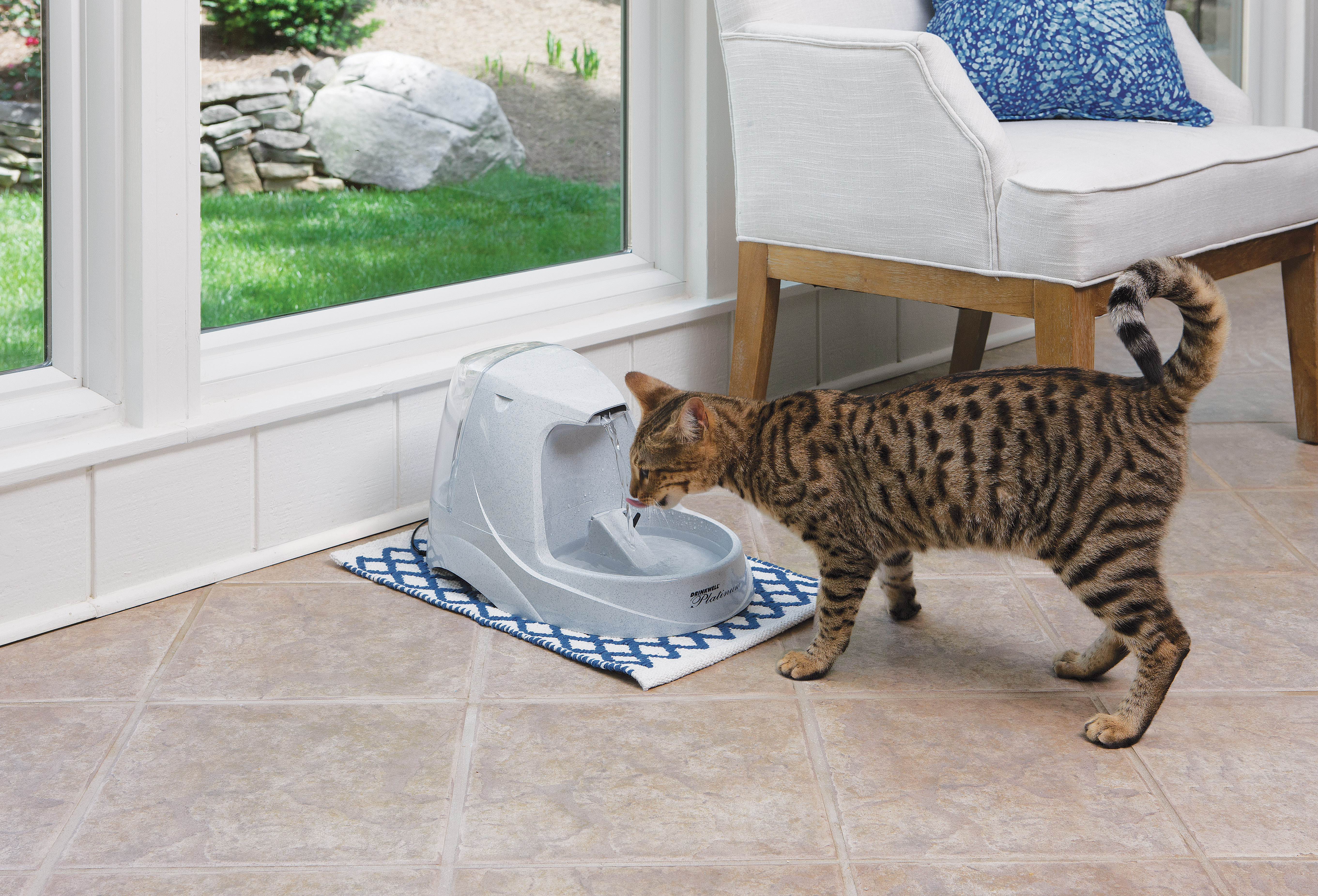 Eine Katze trinkt aus einem Wasserbrunnen auf einer gemusterten Matte am Fenster und Stuhl.