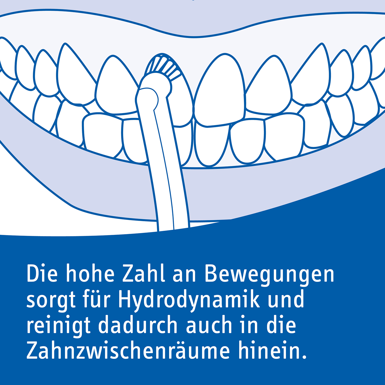 Zähne werden mit einer Bürste geputzt. Blaue und weiße Illustration, mit Text.