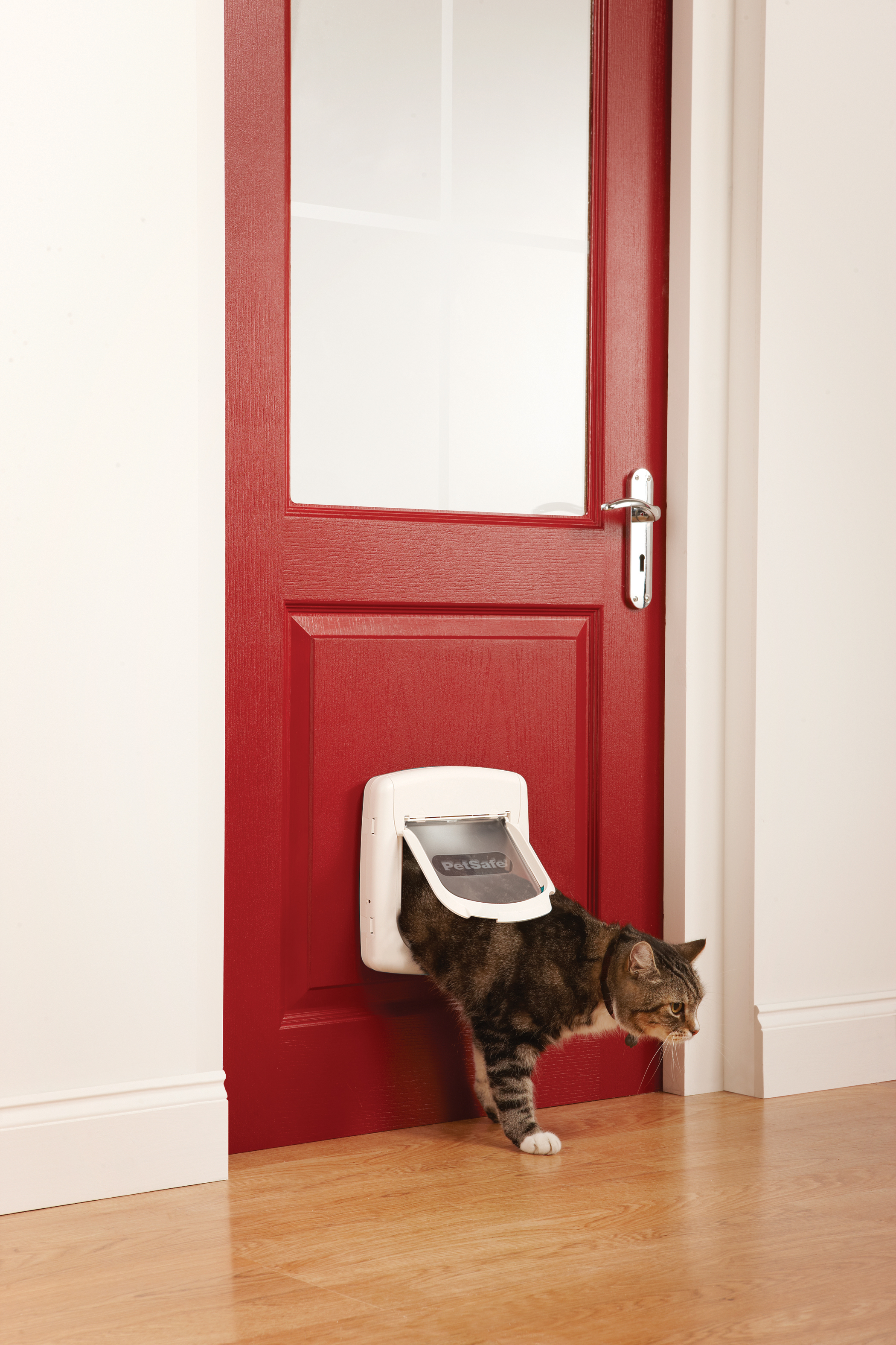 Staywell / PetSafe kattenluiken ✓ Koop vanaf 9.99